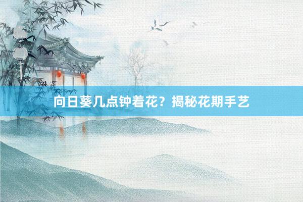 向日葵几点钟着花？揭秘花期手艺
