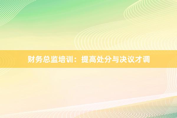 财务总监培训：提高处分与决议才调